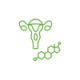 Menopause Management Menopause Management